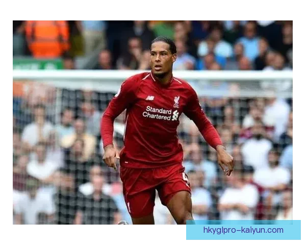 阿利松范迪克搭档默契